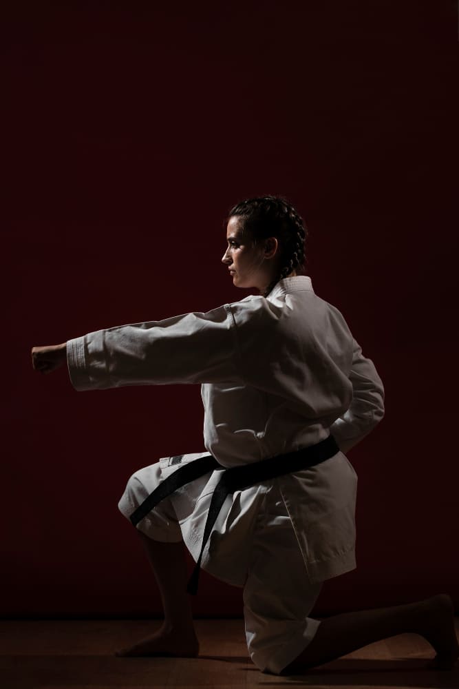 ARTES MARCIAIS
